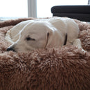 Kuschelbett Schlafele ©