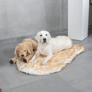 orthopädisches Hundebett