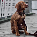 William Walker Leder Hundeleine Lambrusco