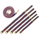 William Walker Paracord Halsband Royal