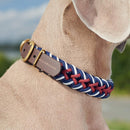 William Walker Paracord Halsband Royal